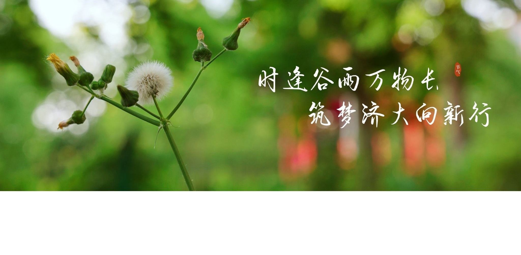 william威廉亚洲官方