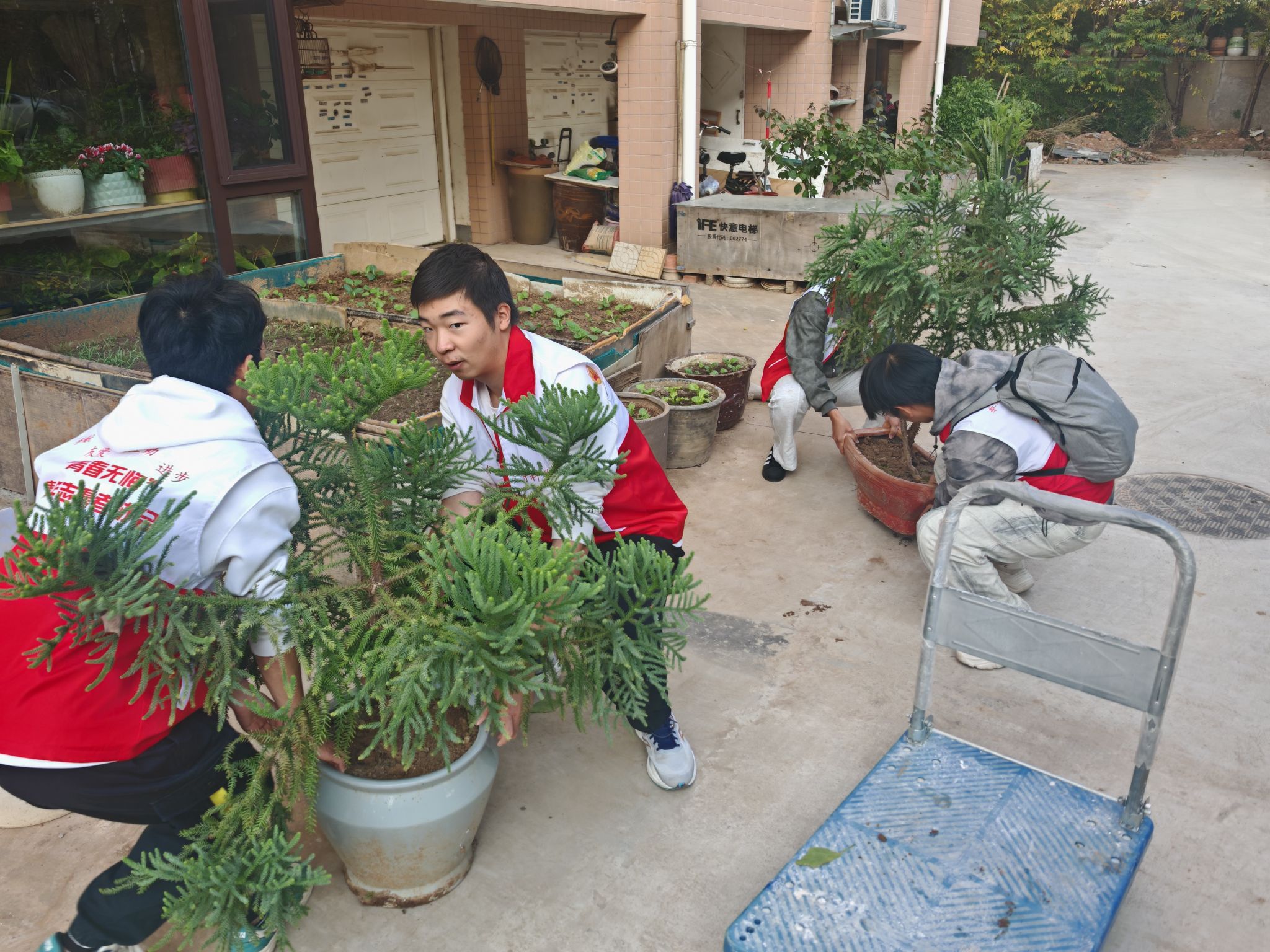 william威廉亚洲官方