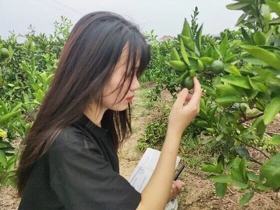 william威廉亚洲官方