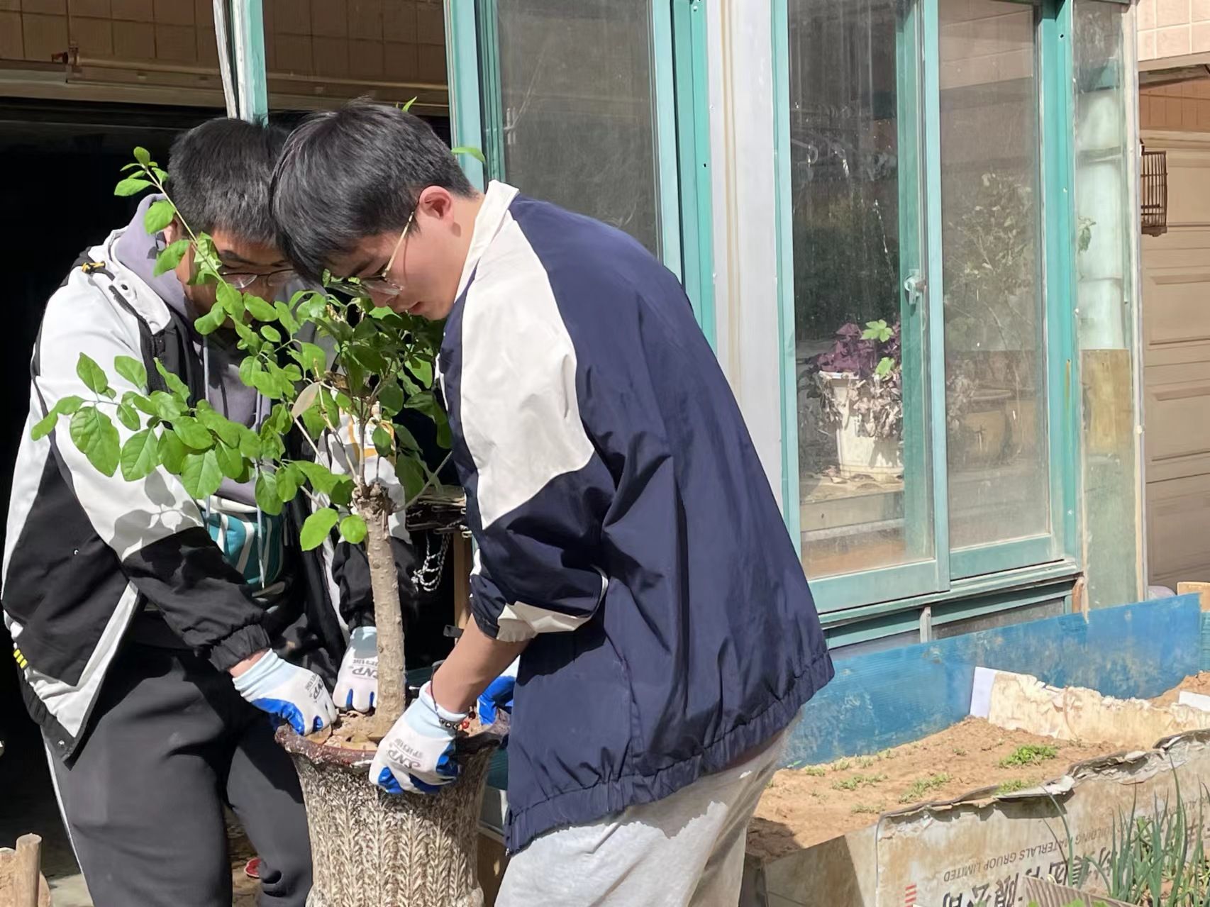 william威廉亚洲官方