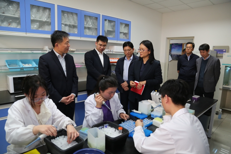 william威廉亚洲官方