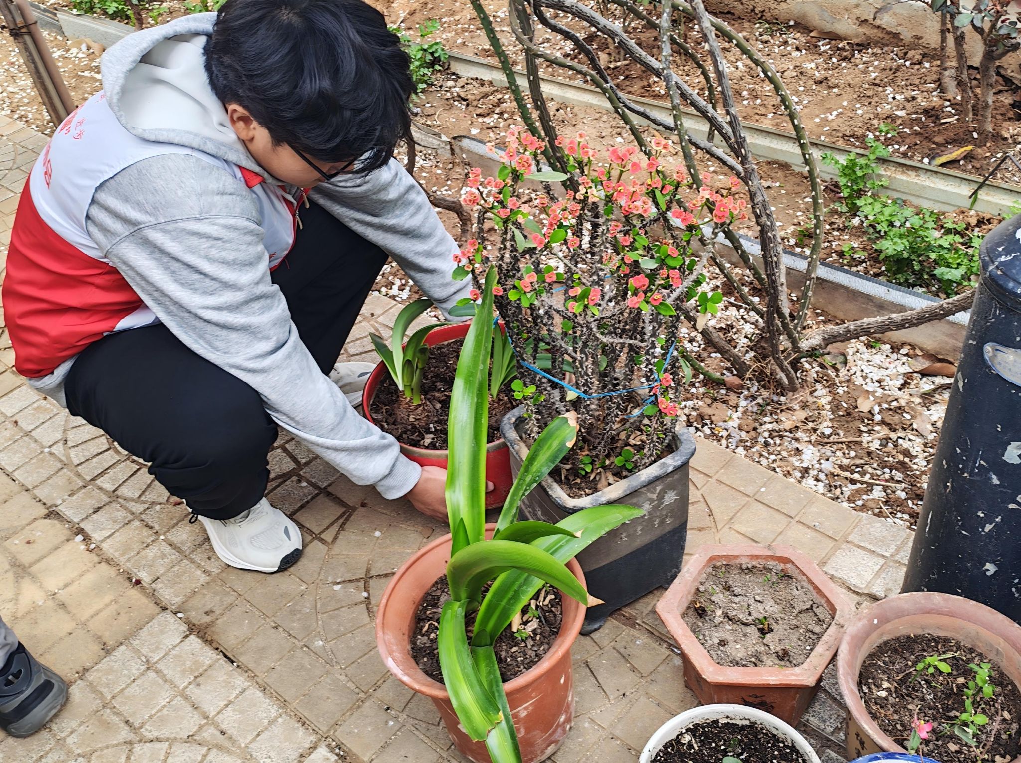 william威廉亚洲官方