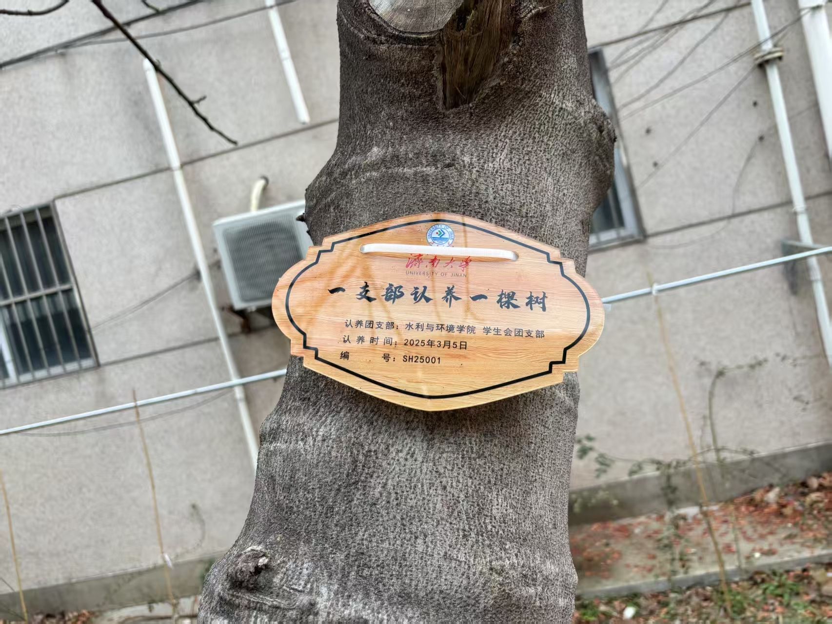 william威廉亚洲官方