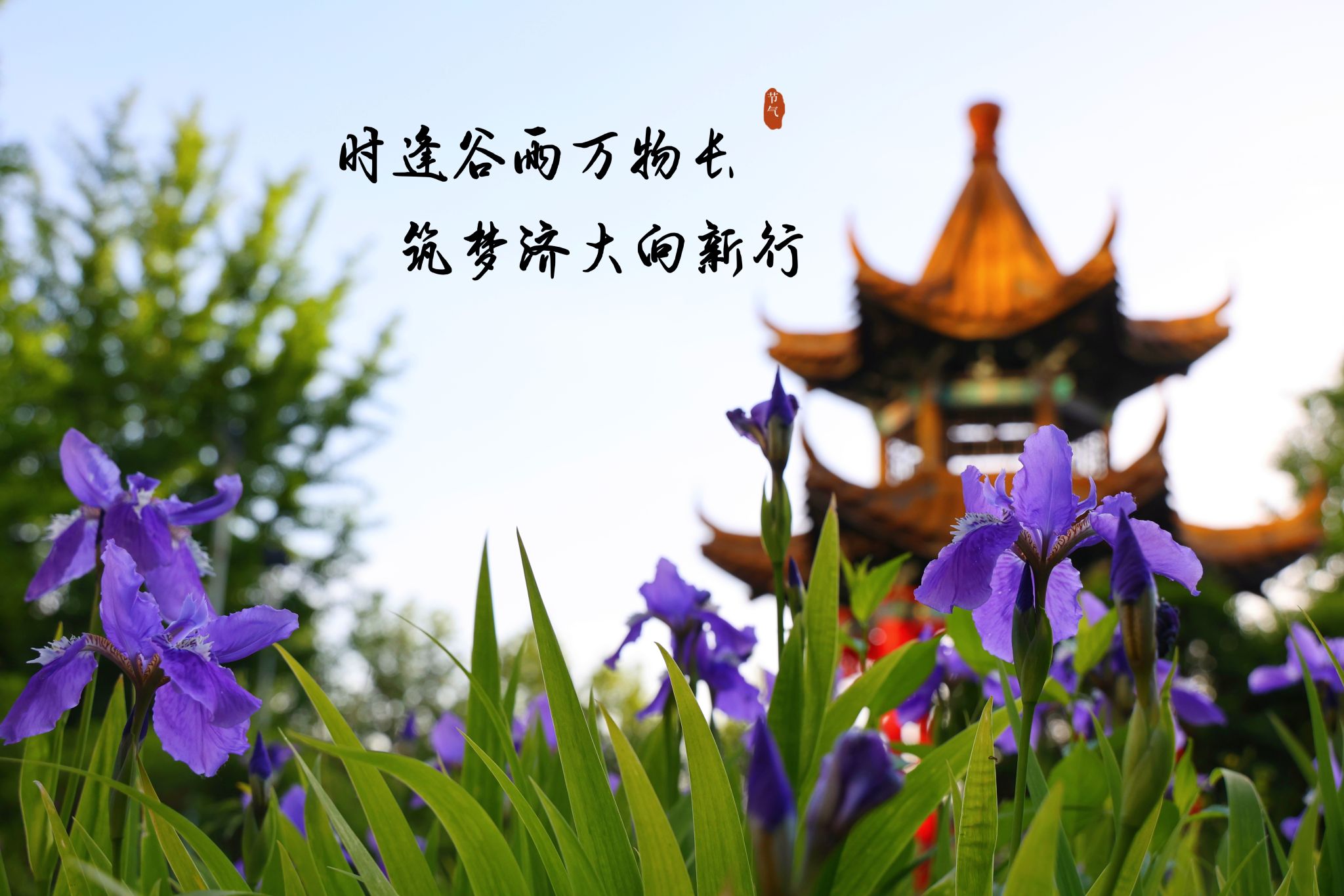 william威廉亚洲官方