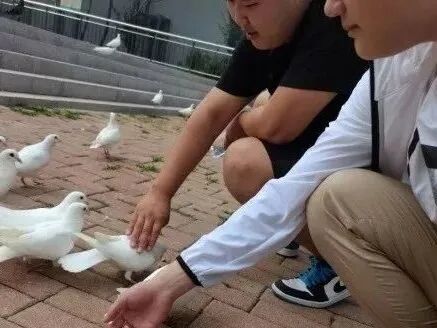 william威廉亚洲官方