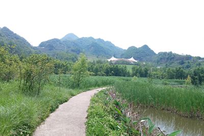 william威廉亚洲官方