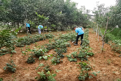 william威廉亚洲官方