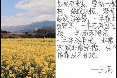 william威廉亚洲官方