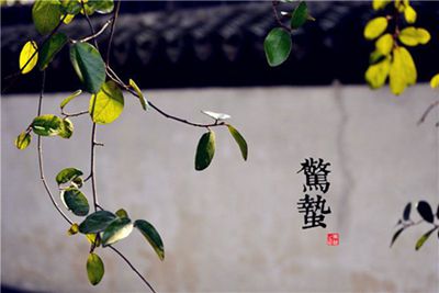 william威廉亚洲官方