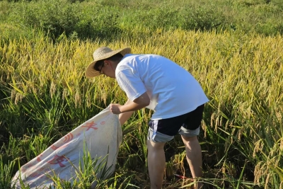 william威廉亚洲官方
